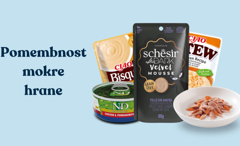 Zakaj je mokra hrana za mačke ključna za njihovo zdravje: prednosti, nasveti in priporočeni izdelki