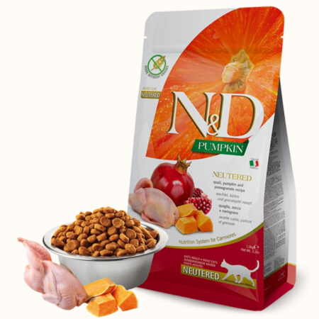 ND-Pumpkin-Cat-Neutered-Quail-and-Pomegranate