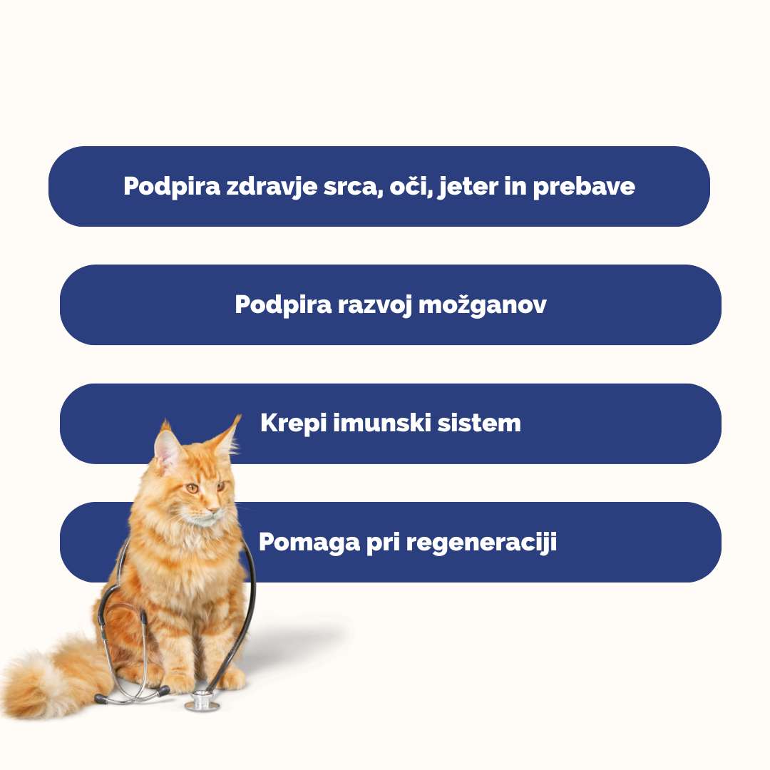 Tavrin v prahu za mačke Tavrin v prahu za mačke