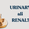 Razlika med urinary in renal hrano za mačke