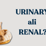 Razlika med urinary in renal hrano za mačke
