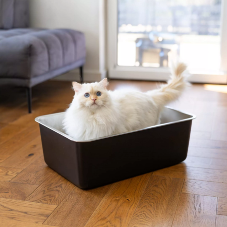 Mačje stranišče iz nerjavečega jekla