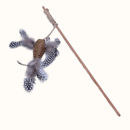 Igralna palica rjava ptica z perjem