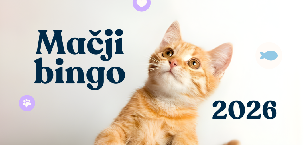 Mačji Bingo 2026