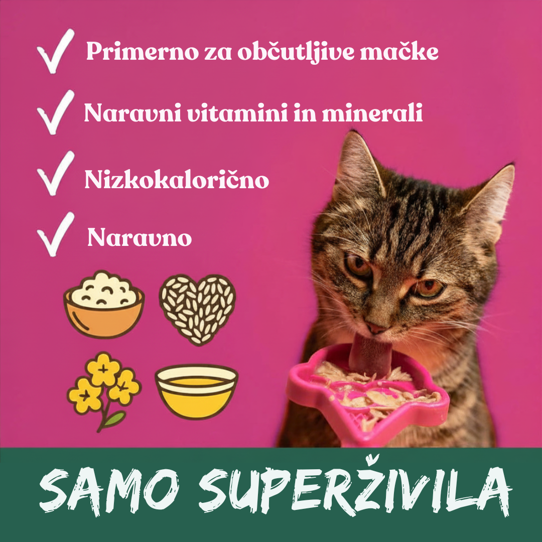 Q-Chefs naravno Q-Chefs naravno