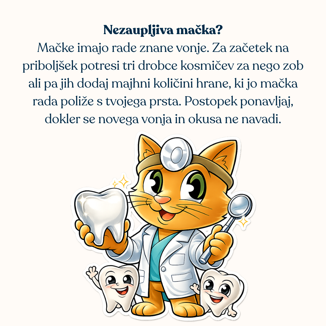 Q-Chefs nezaupljiva mačka Q-Chefs nezaupljiva mačka