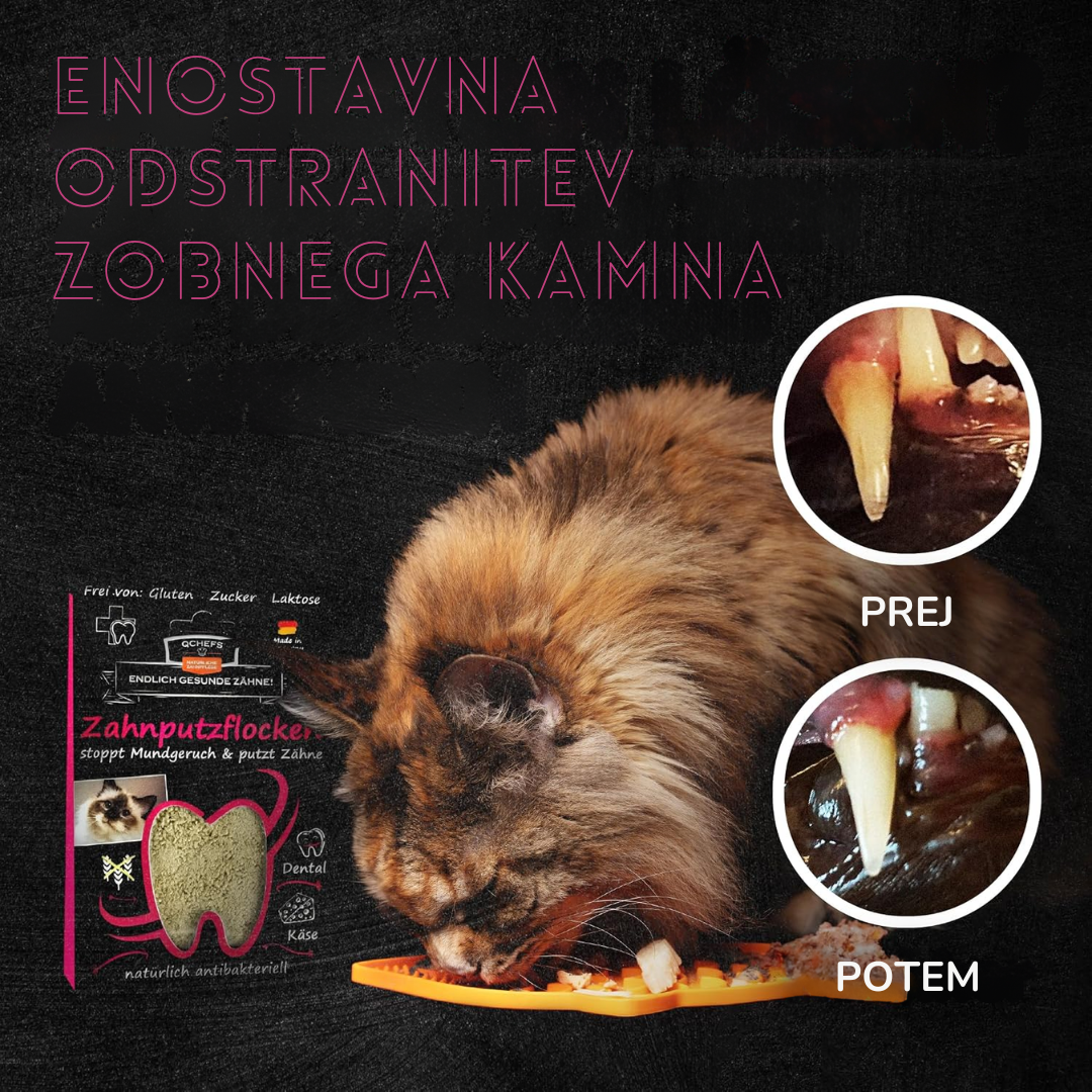 Q-Chefs odstranitev zobnega kamna Q-Chefs odstranitev zobnega kamna